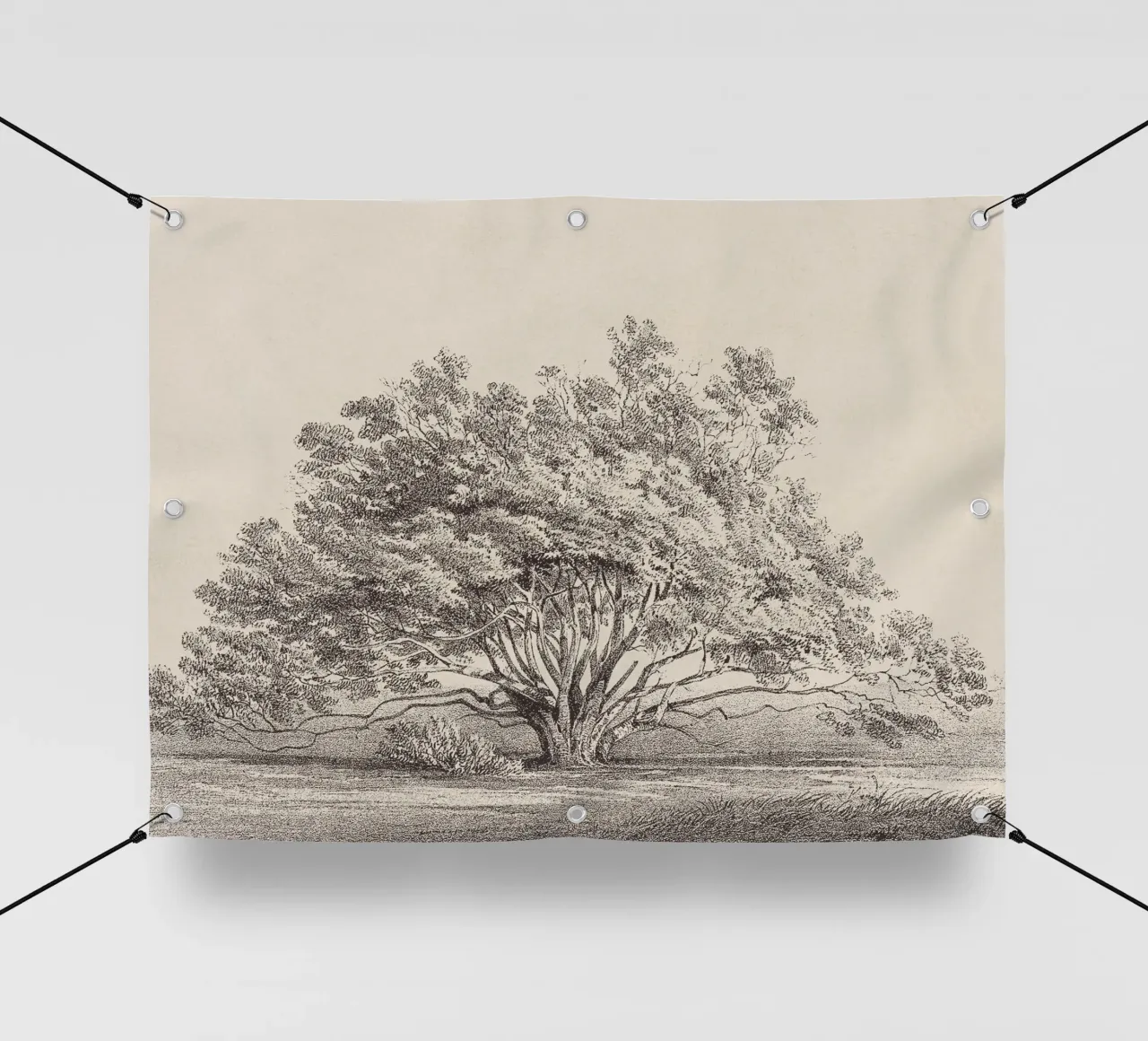 Tree Sketch - Manzanita telo in pvc da apoloprints