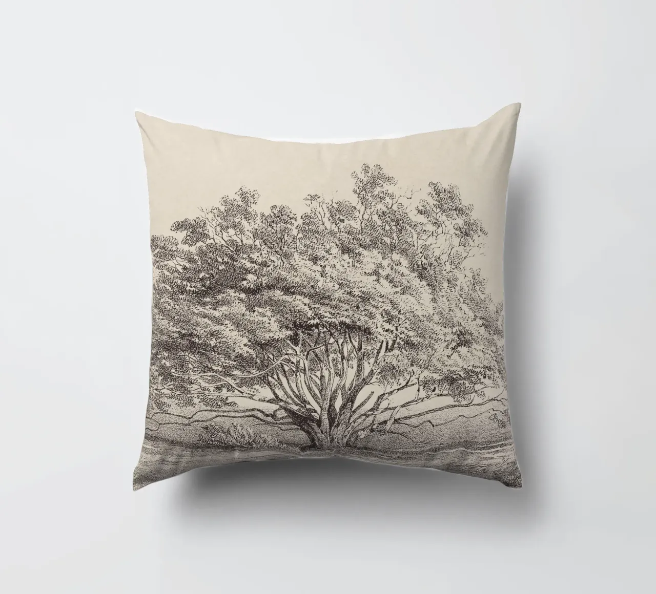 Tree Sketch - Manzanita cuscino da apoloprints