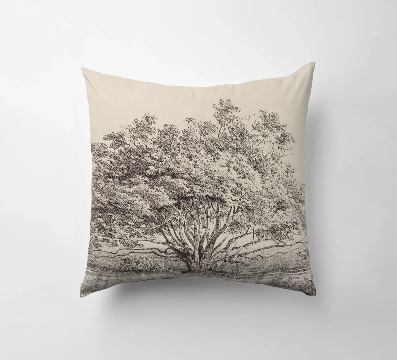 Tree Sketch - Manzanita cuscino da apoloprints