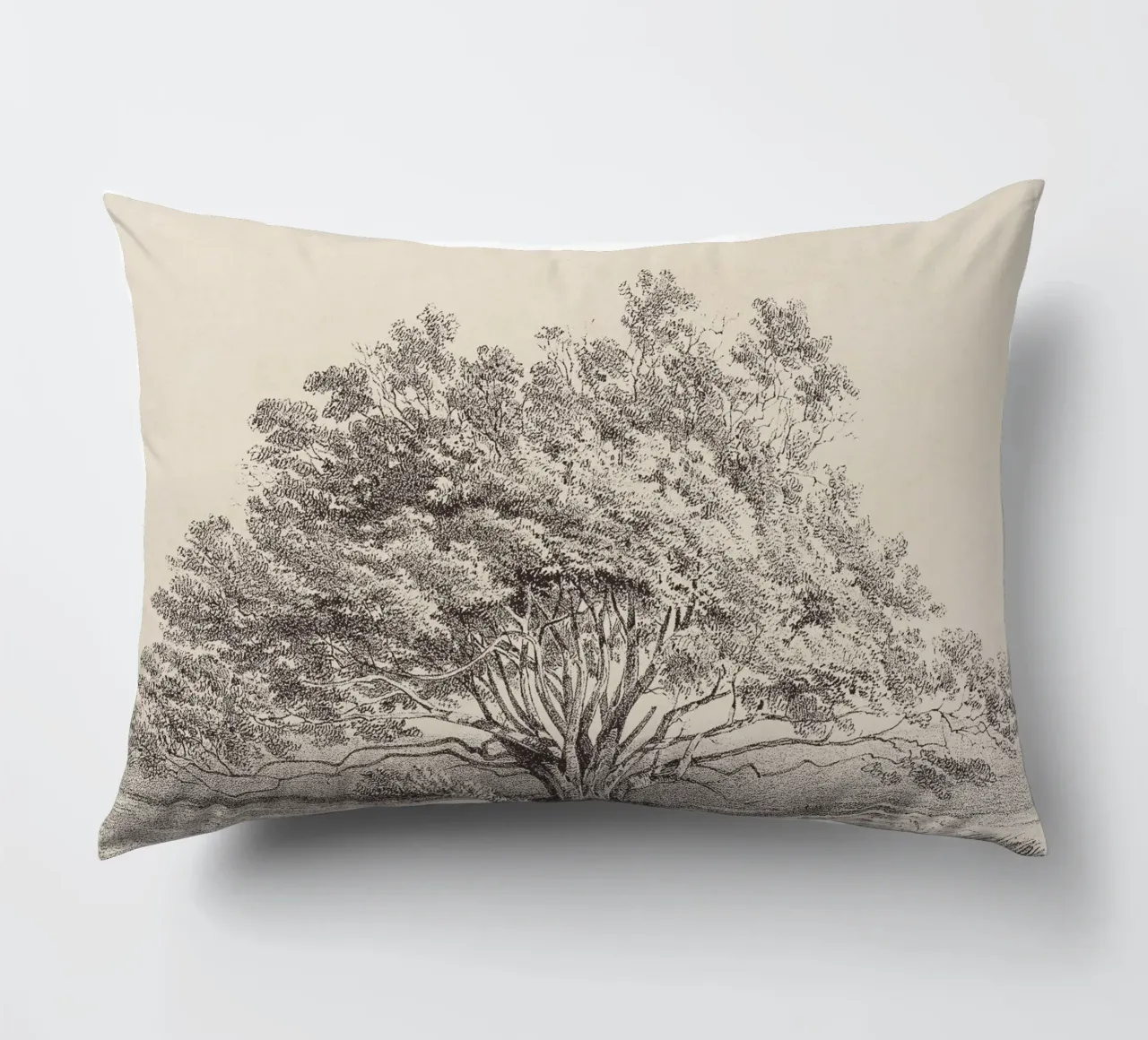 Tree Sketch - Manzanita cuscino da apoloprints