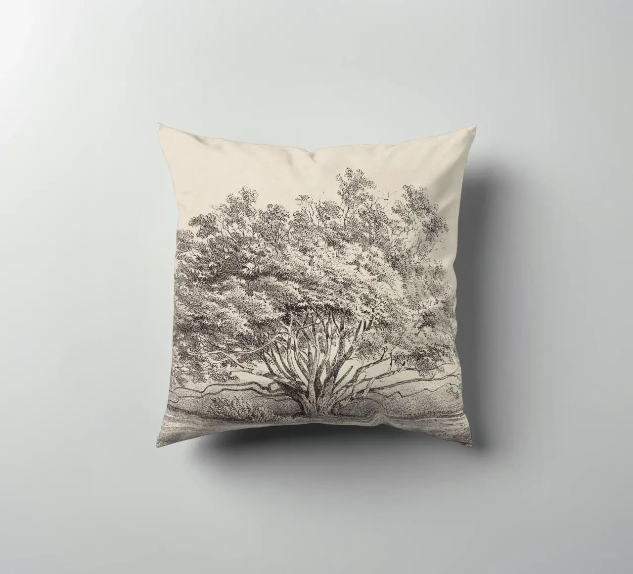 Tree Sketch - Manzanita cuscino da apoloprints