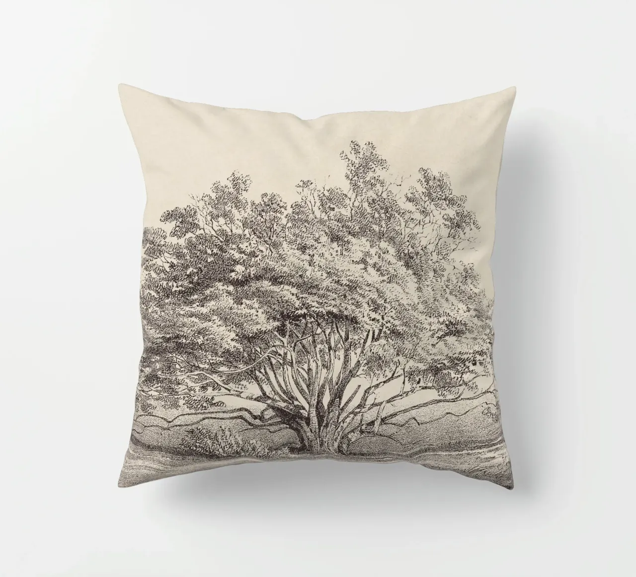 Tree Sketch - Manzanita cuscino da apoloprints