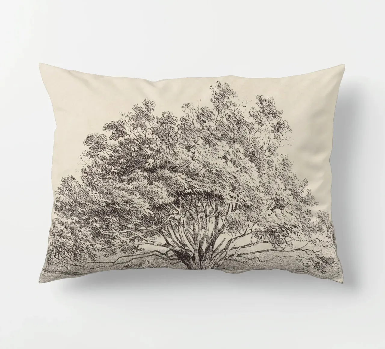 Tree Sketch - Manzanita cuscino da apoloprints