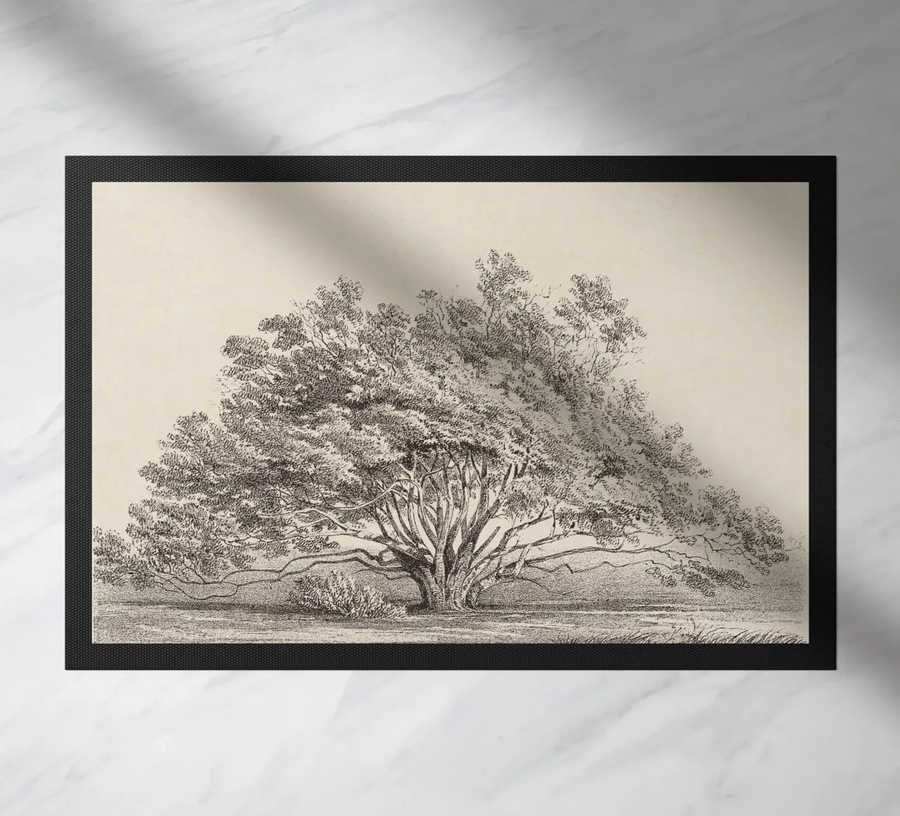 Tree Sketch - Manzanita zerbino da apoloprints