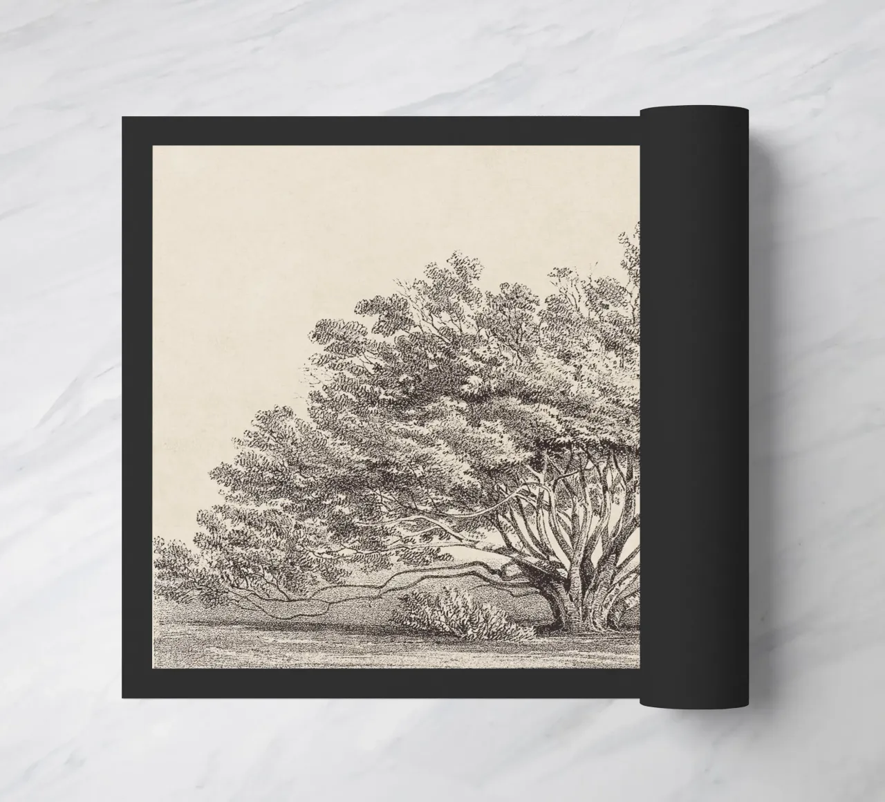 Tree Sketch - Manzanita zerbino da apoloprints