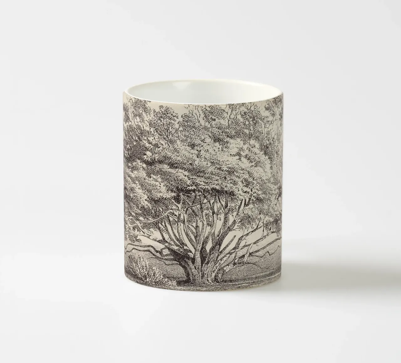 Tree Sketch - Manzanita tazza in ceramica da apoloprints