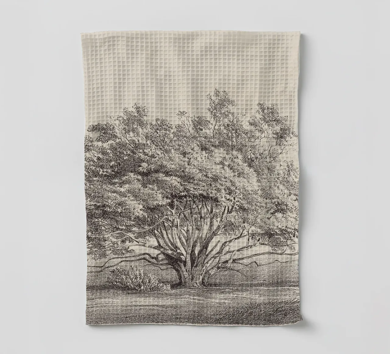 Tree Sketch - Manzanita canovaccio da cucina da apoloprints