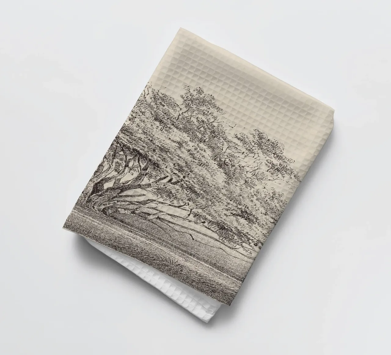 Tree Sketch - Manzanita canovaccio da cucina da apoloprints