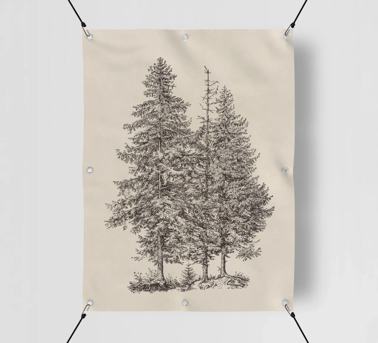 Tree Sketch - Norway Spruce telo in pvc da apoloprints