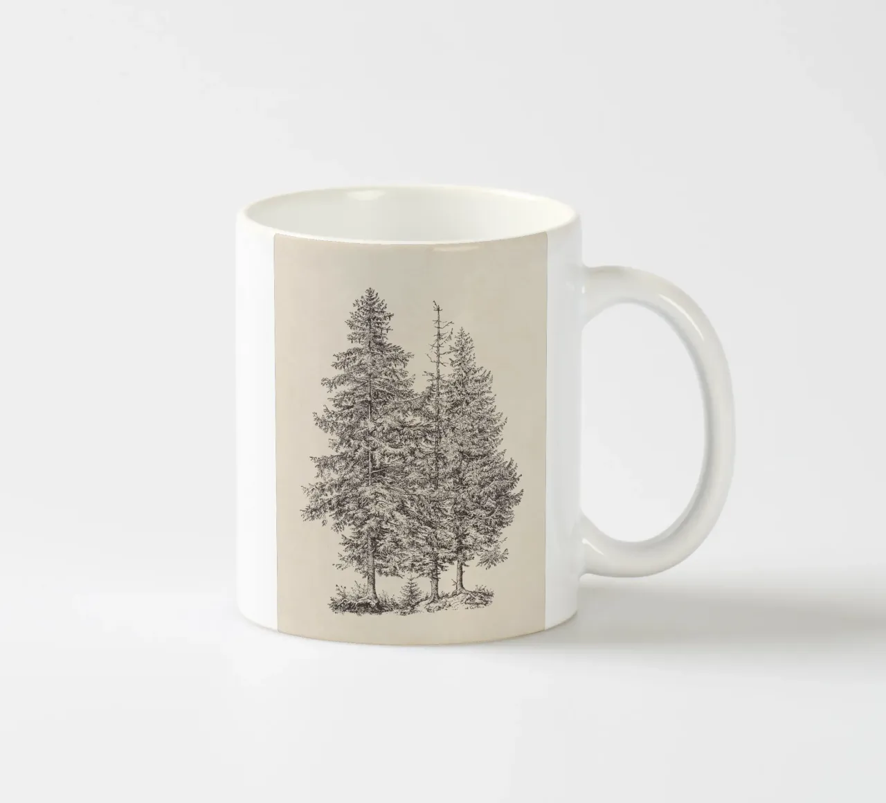 Tree Sketch - Norway Spruce tazza in ceramica da apoloprints