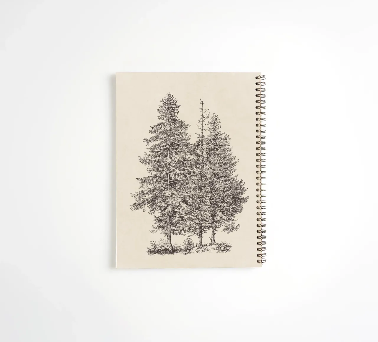 Tree Sketch - Norway Spruce spiral notebook by apoloprints