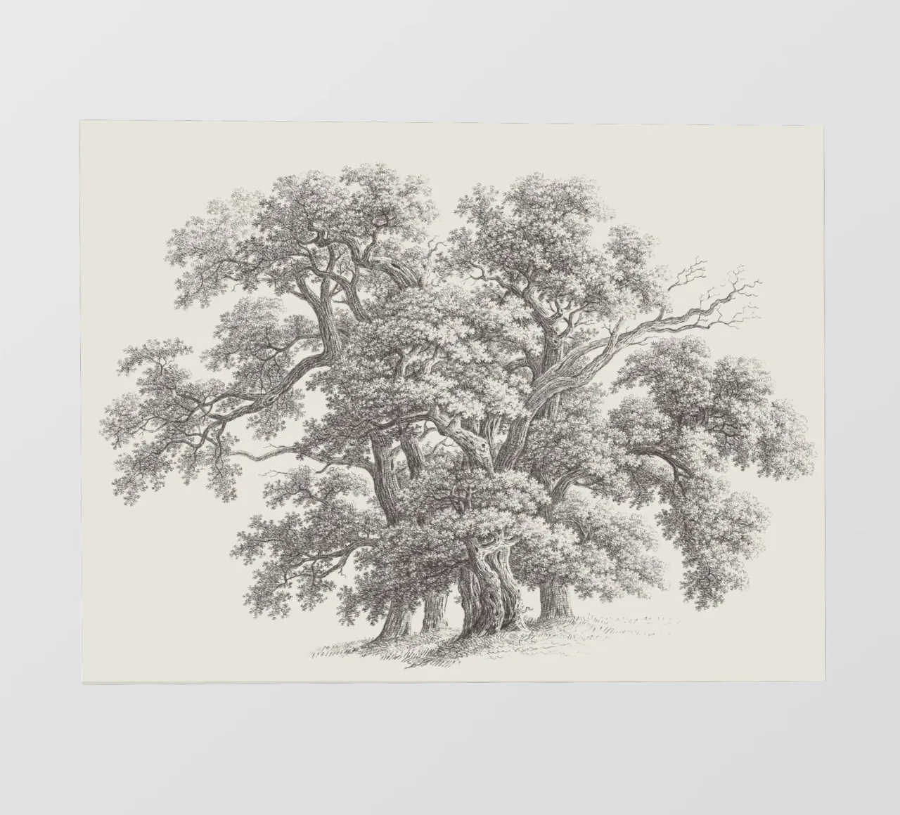 Tree Sketch - Oak Group telo in pvc da apoloprints