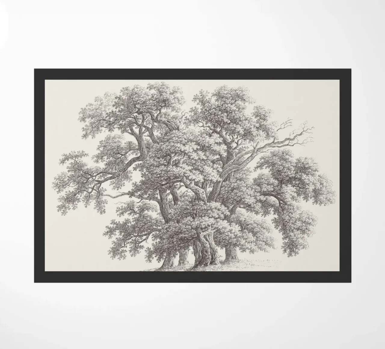Tree Sketch - Oak Group zerbino da apoloprints