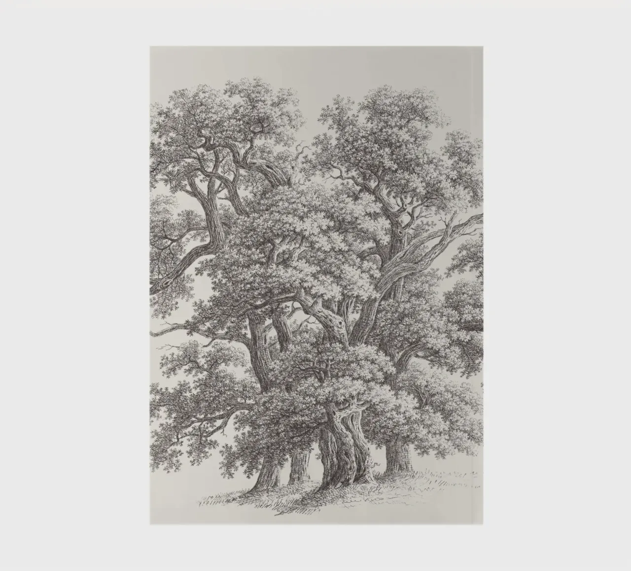 Tree Sketch - Oak Group diario da apoloprints