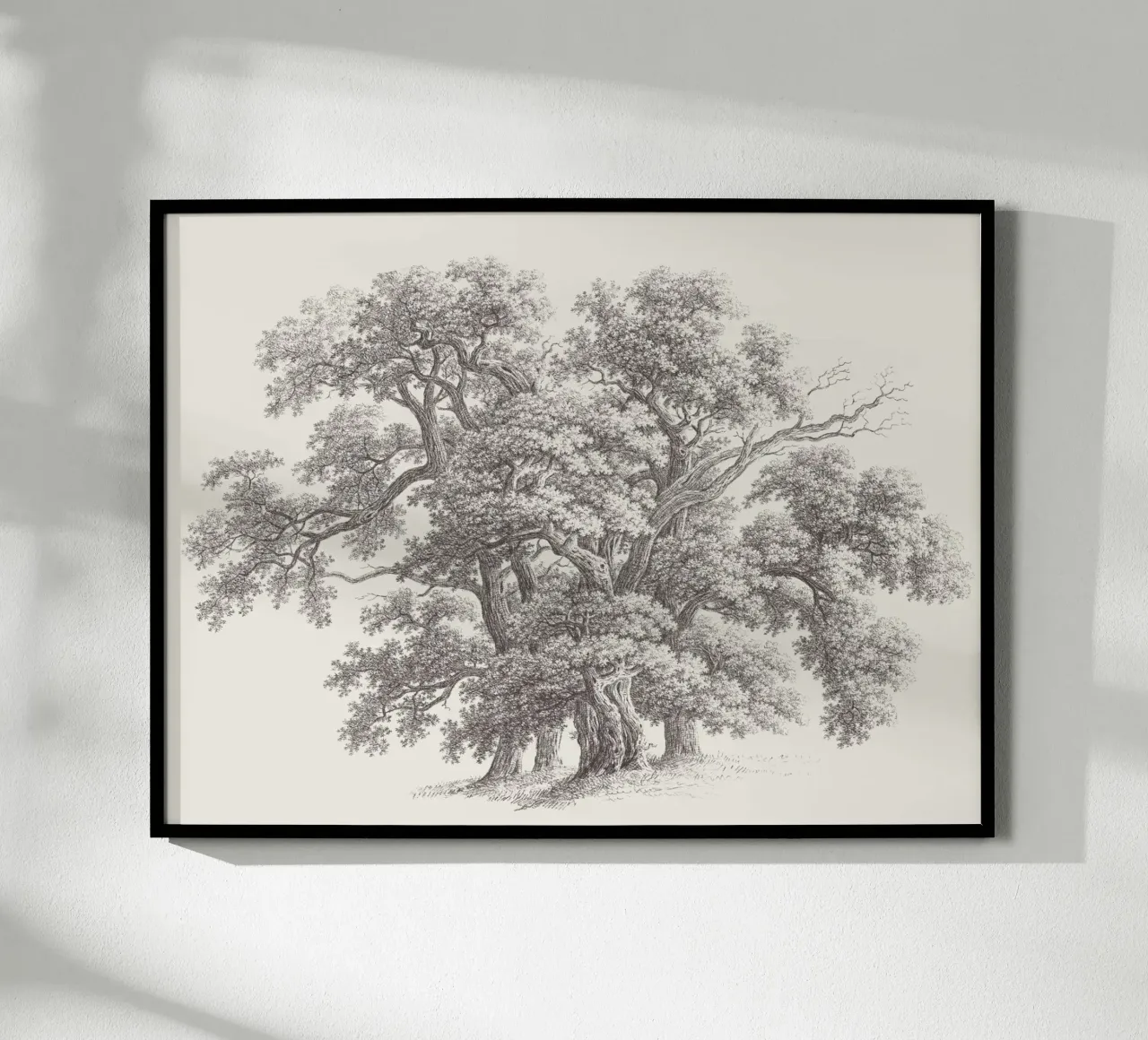 Tree Sketch - Oak Group carta hahnemühle da apoloprints