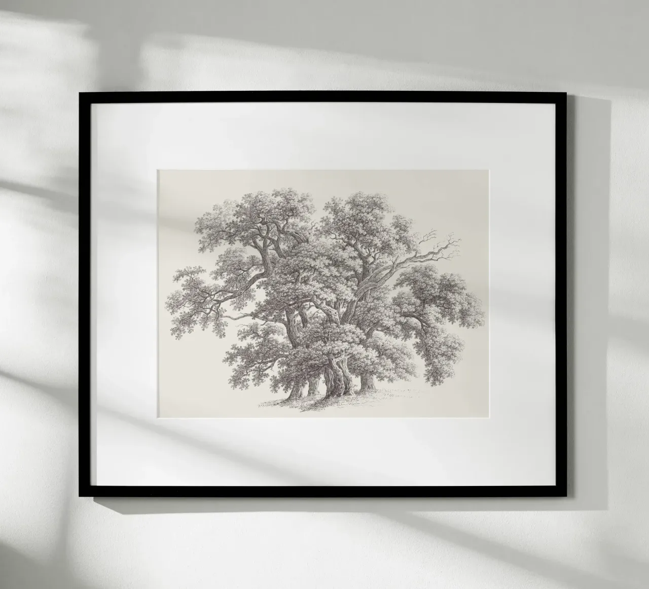 Tree Sketch - Oak Group carta hahnemühle da apoloprints