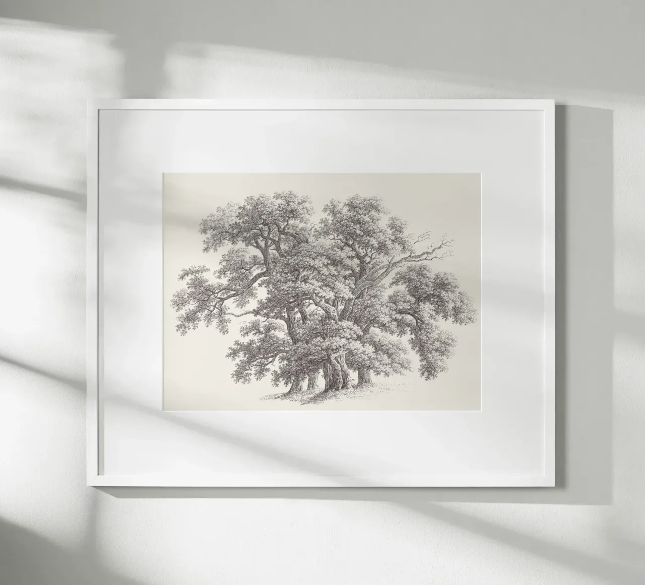 Tree Sketch - Oak Group carta hahnemühle da apoloprints