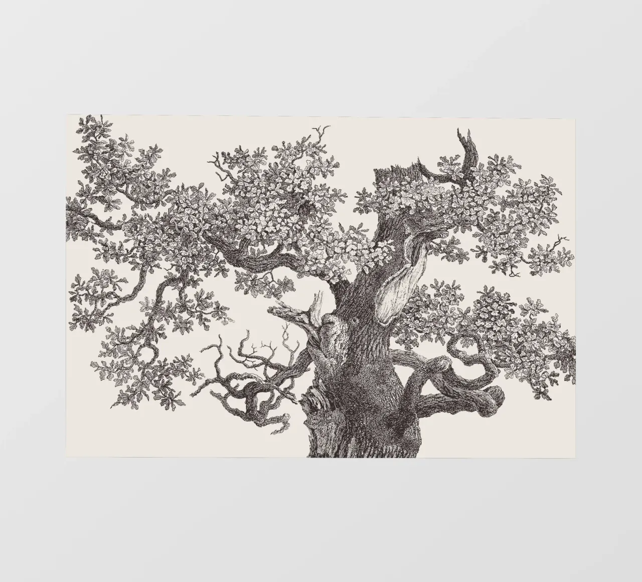 Oak Tree Top pvc cover by apoloprints