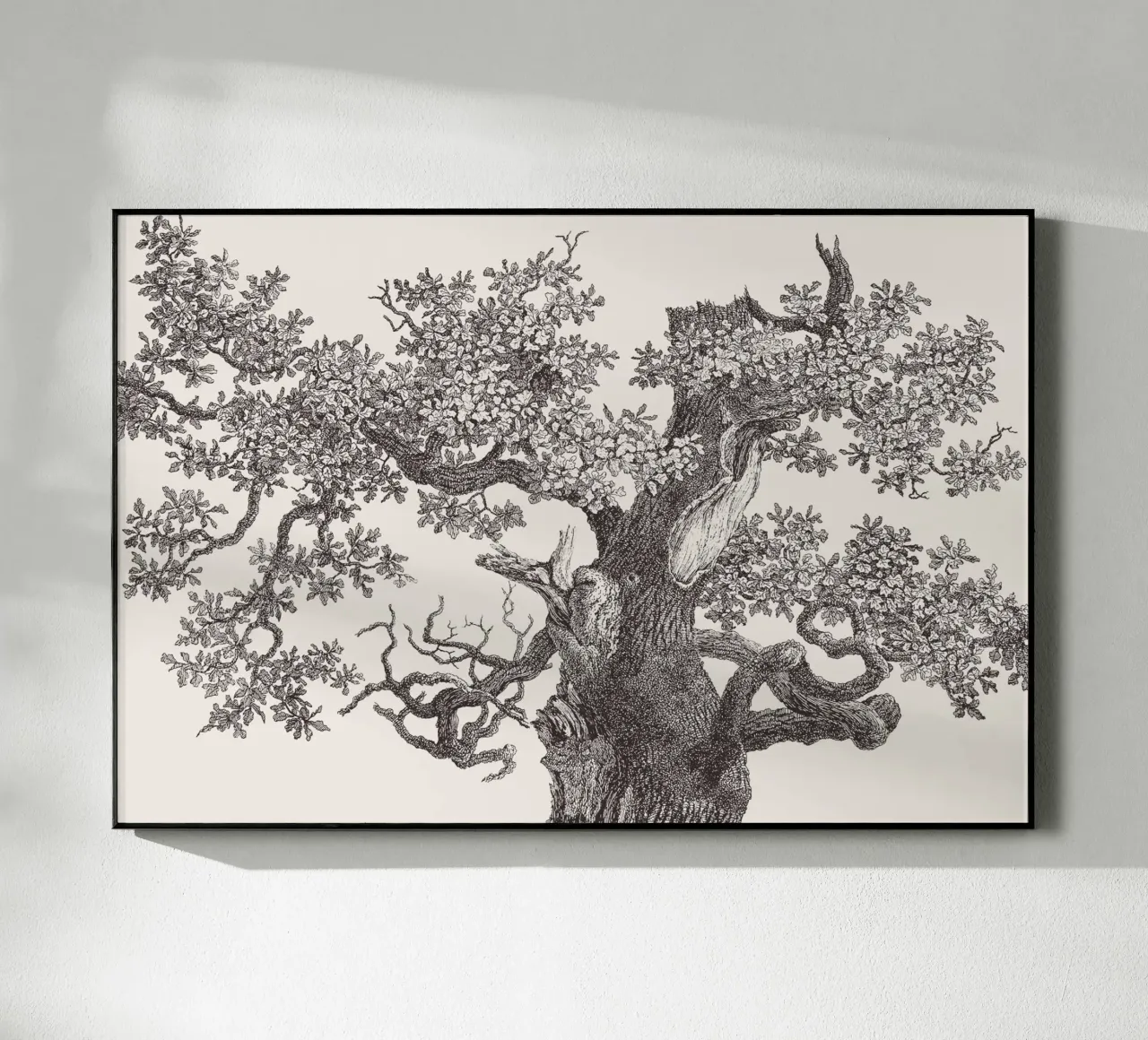 Oak Tree Top plexiglass da apoloprints