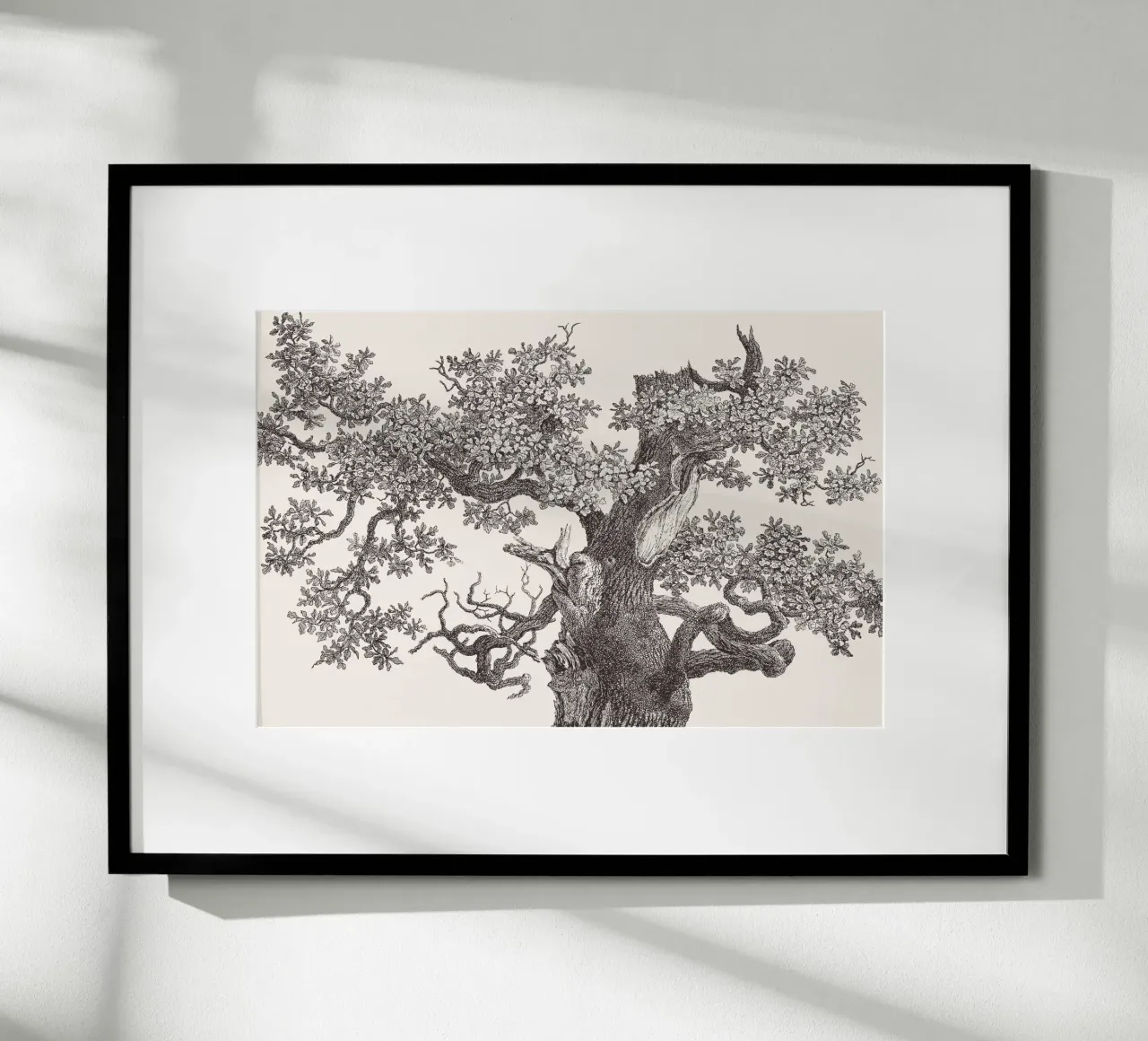 Oak Tree Top poster by apoloprints