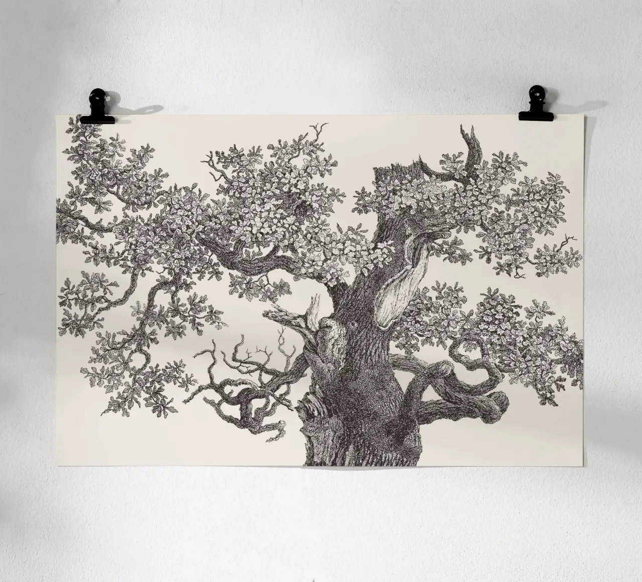 Oak Tree Top poster by apoloprints