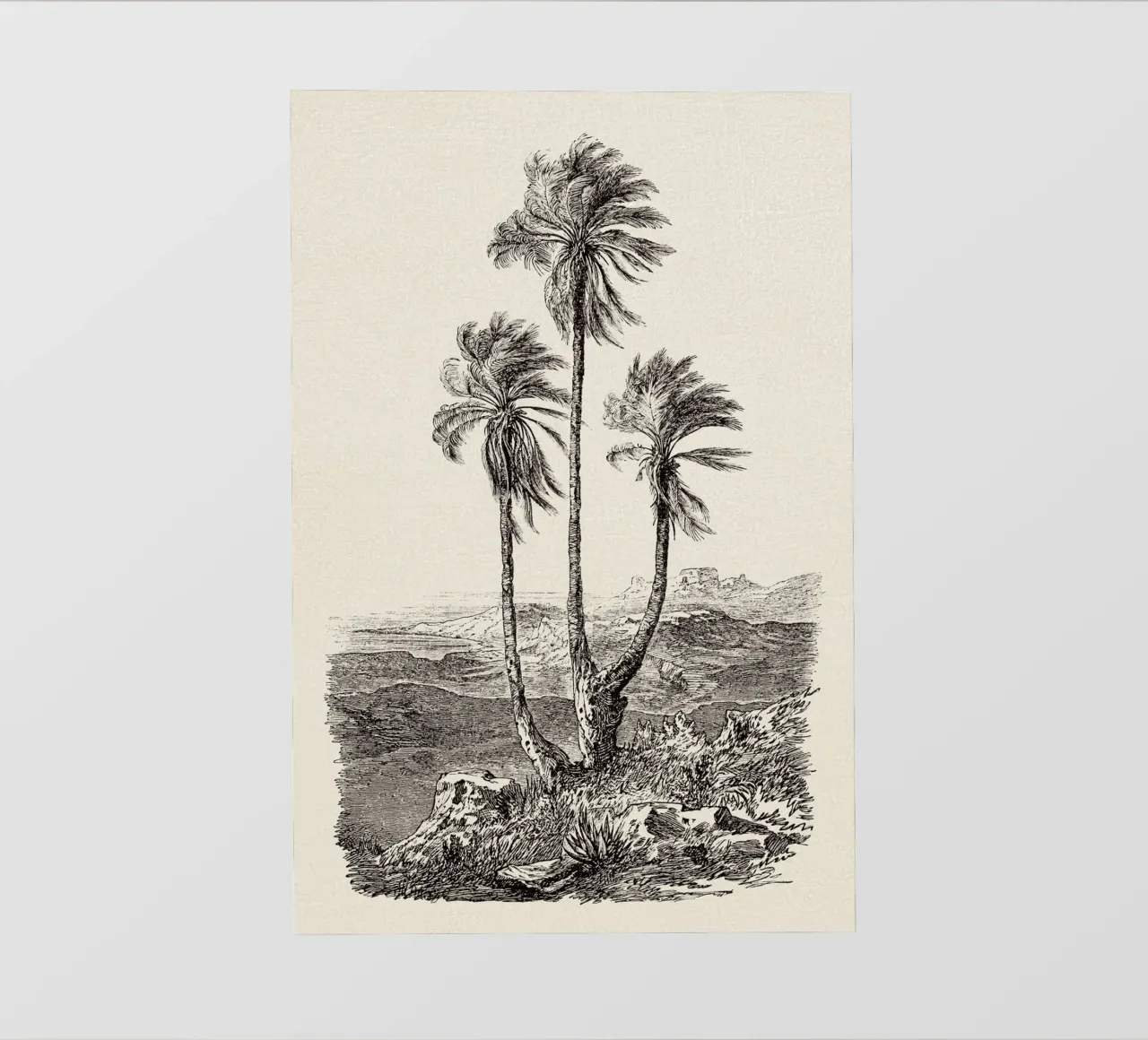 Palm Tree Group telo in pvc da apoloprints