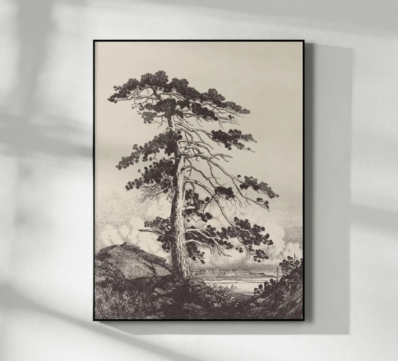 Black Pine Tree Landscape plexiglass da apoloprints