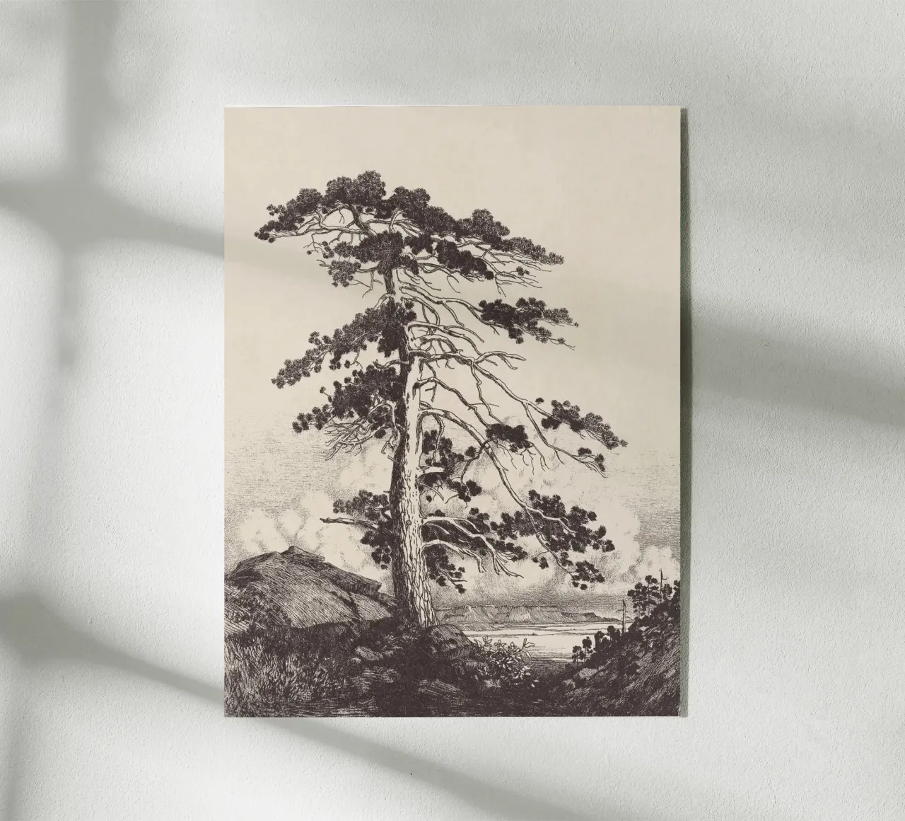Black Pine Tree Landscape plexiglass da apoloprints