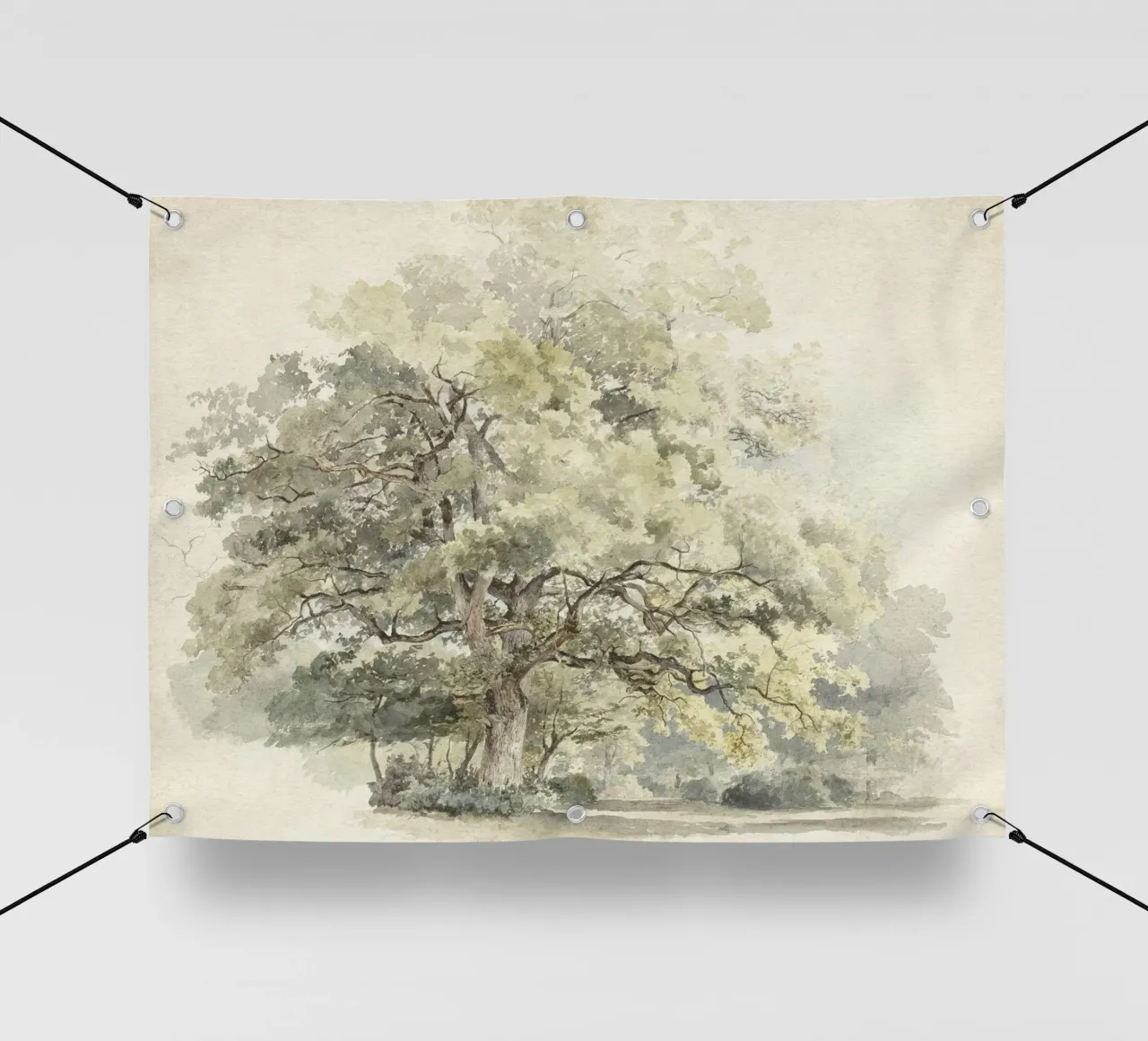 Tree Study Watercolor telo in pvc da apoloprints