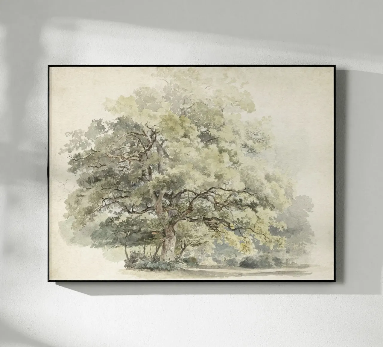 Tree Study Watercolor plexiglass da apoloprints