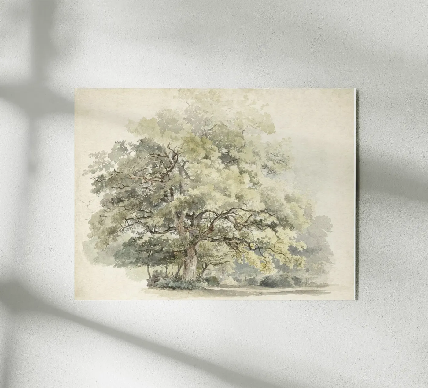 Tree Study Watercolor acrylic glass by Apolo Prints