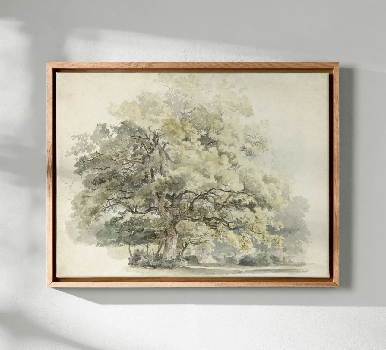 Tree Study Watercolor tela con Cornice a cassetta da apoloprints