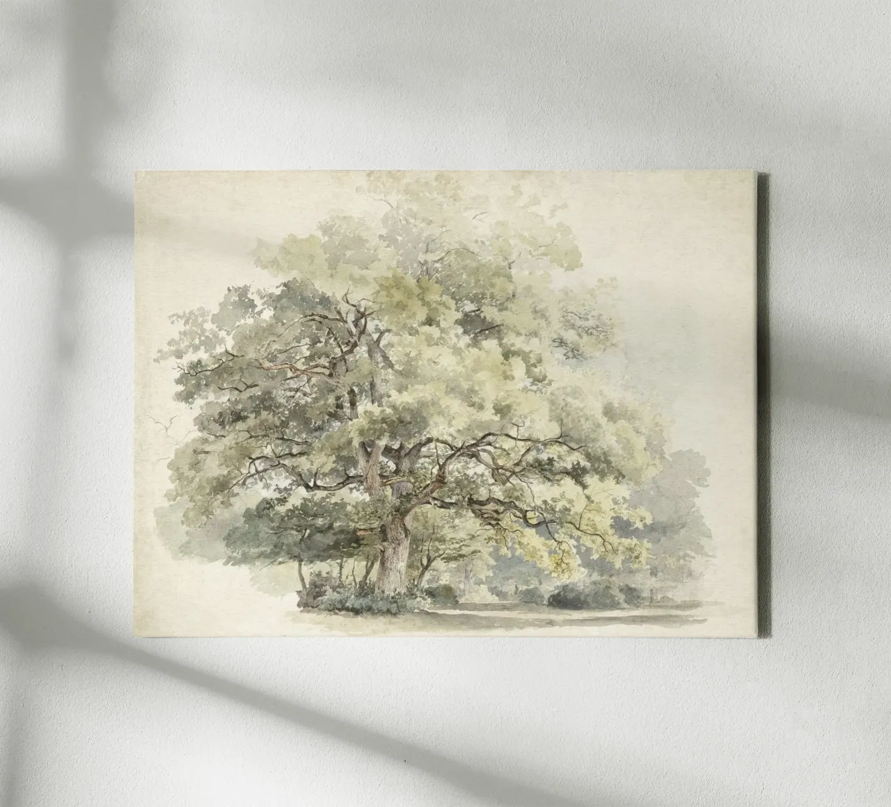Tree Study Watercolor tela con Cornice a cassetta da apoloprints