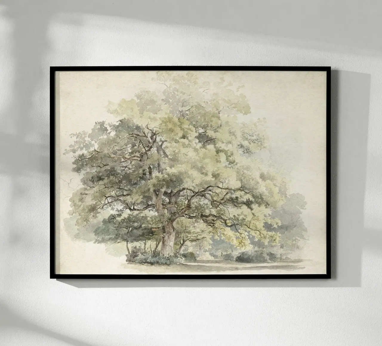 Tree Study Watercolor carta hahnemühle da apoloprints