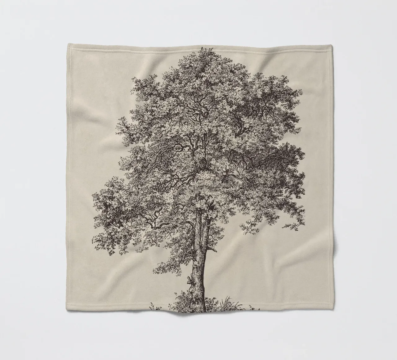 Tree Sketch - Sycamore Maple coperta in pile da apoloprints
