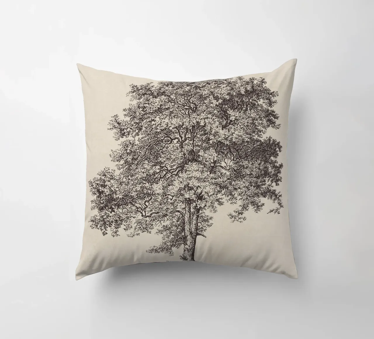 Tree Sketch - Sycamore Maple cuscino da apoloprints
