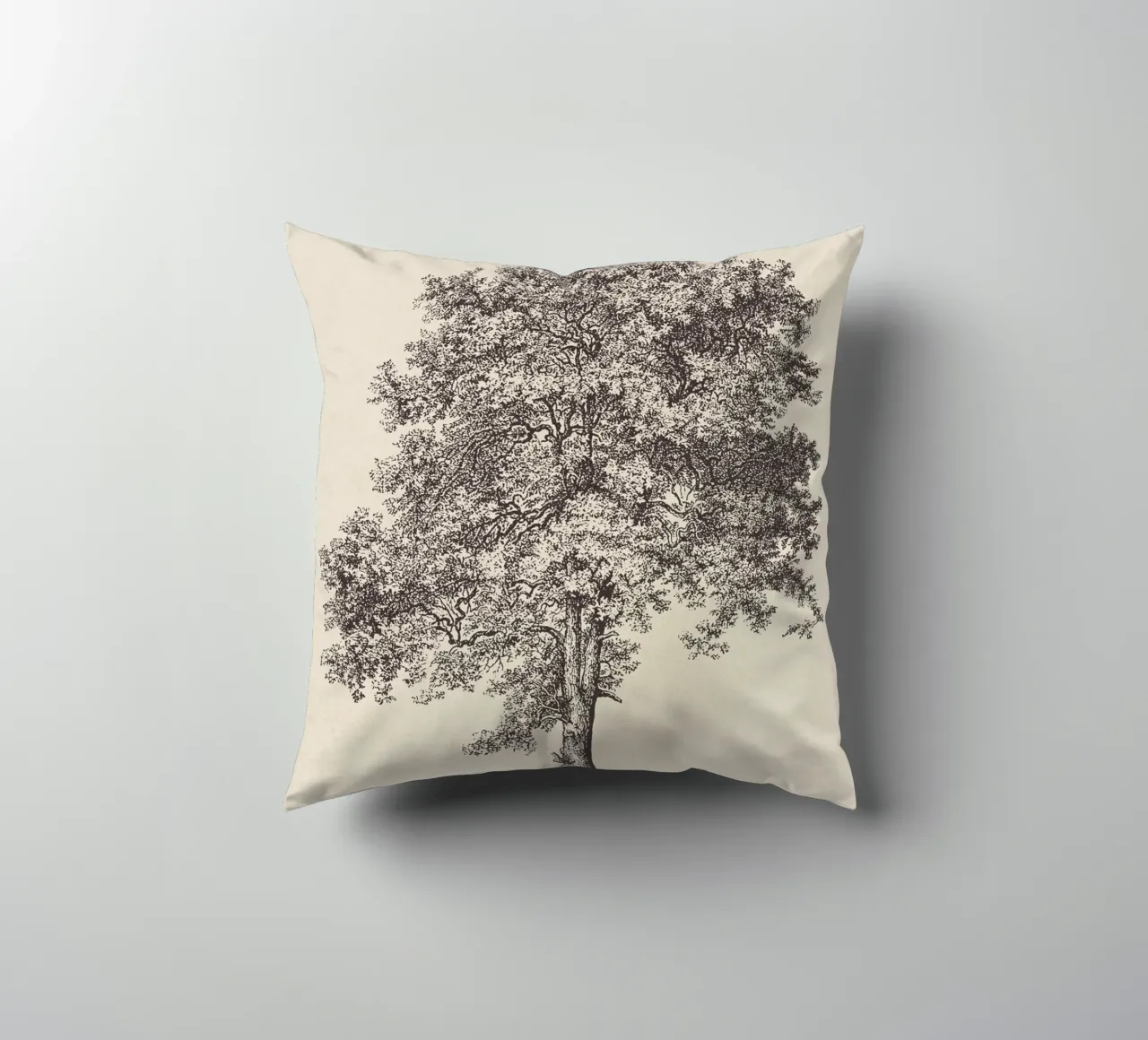 Tree Sketch - Sycamore Maple cuscino da apoloprints