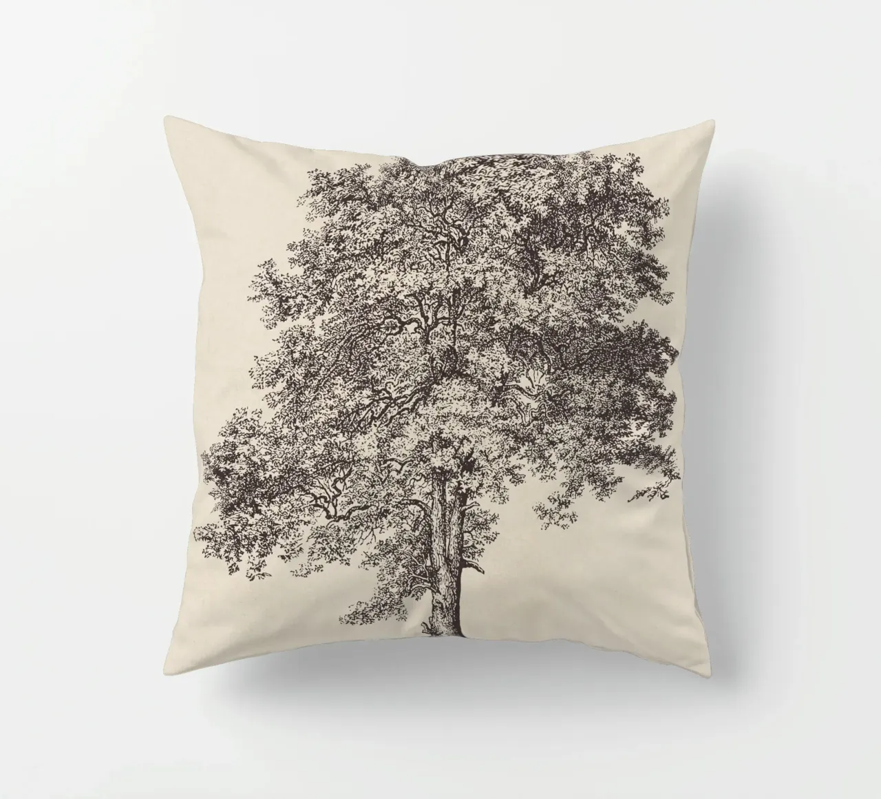 Tree Sketch - Sycamore Maple cuscino da apoloprints