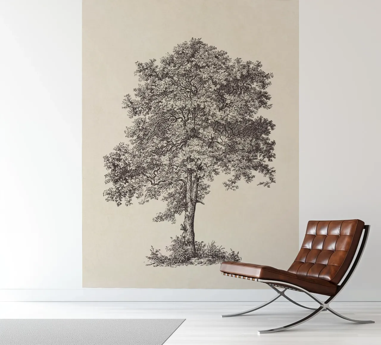 Tree Sketch - Sycamore Maple carta da parati fotografica da apoloprints