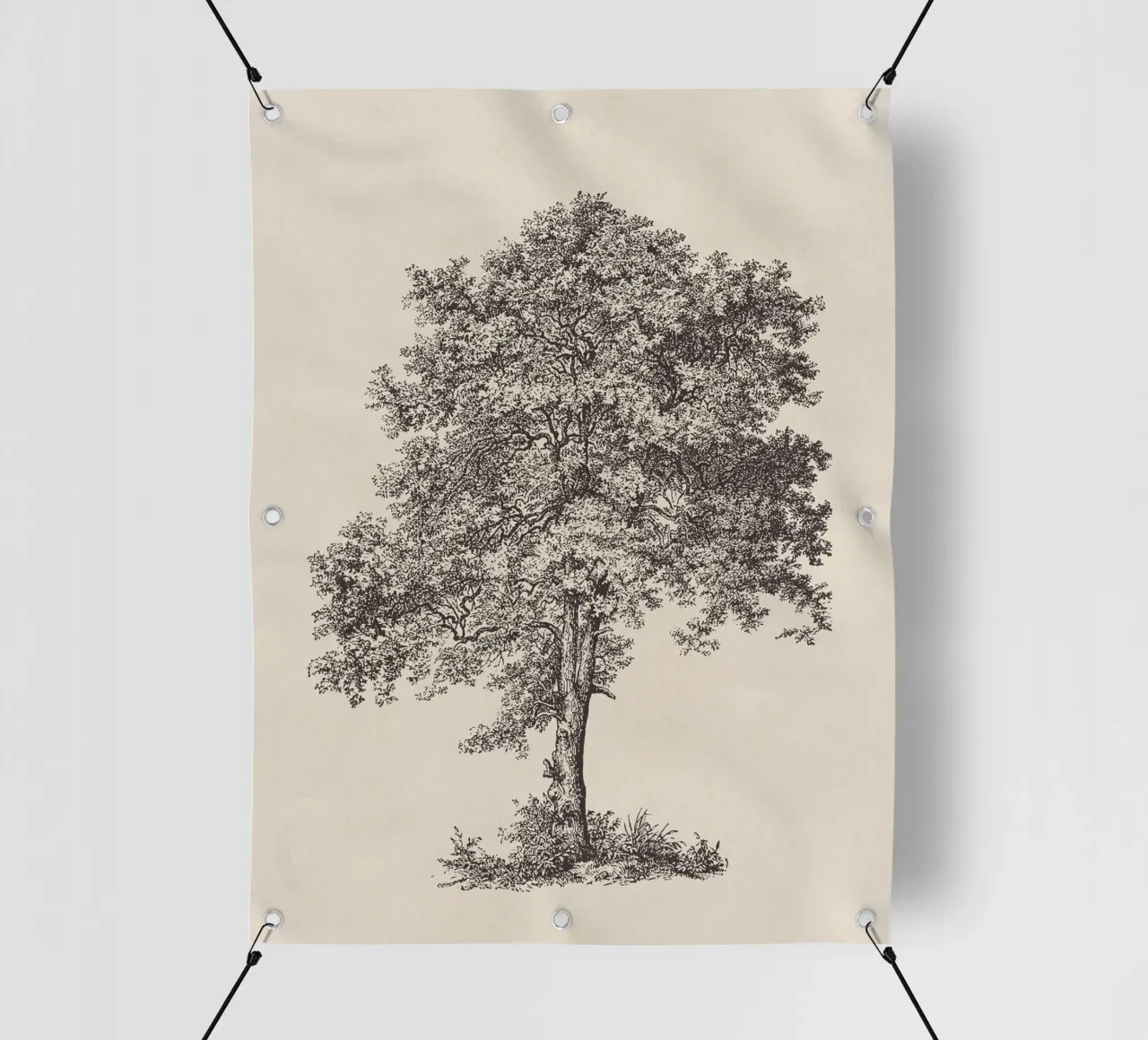 Tree Sketch - Sycamore Maple telo in pvc da apoloprints