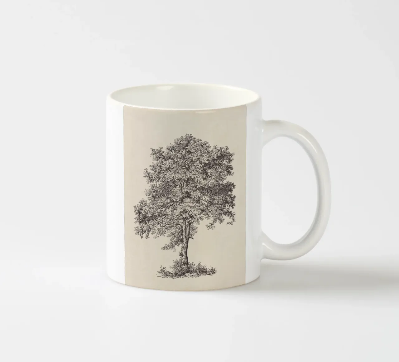 Tree Sketch - Sycamore Maple mug en céramique de apoloprints