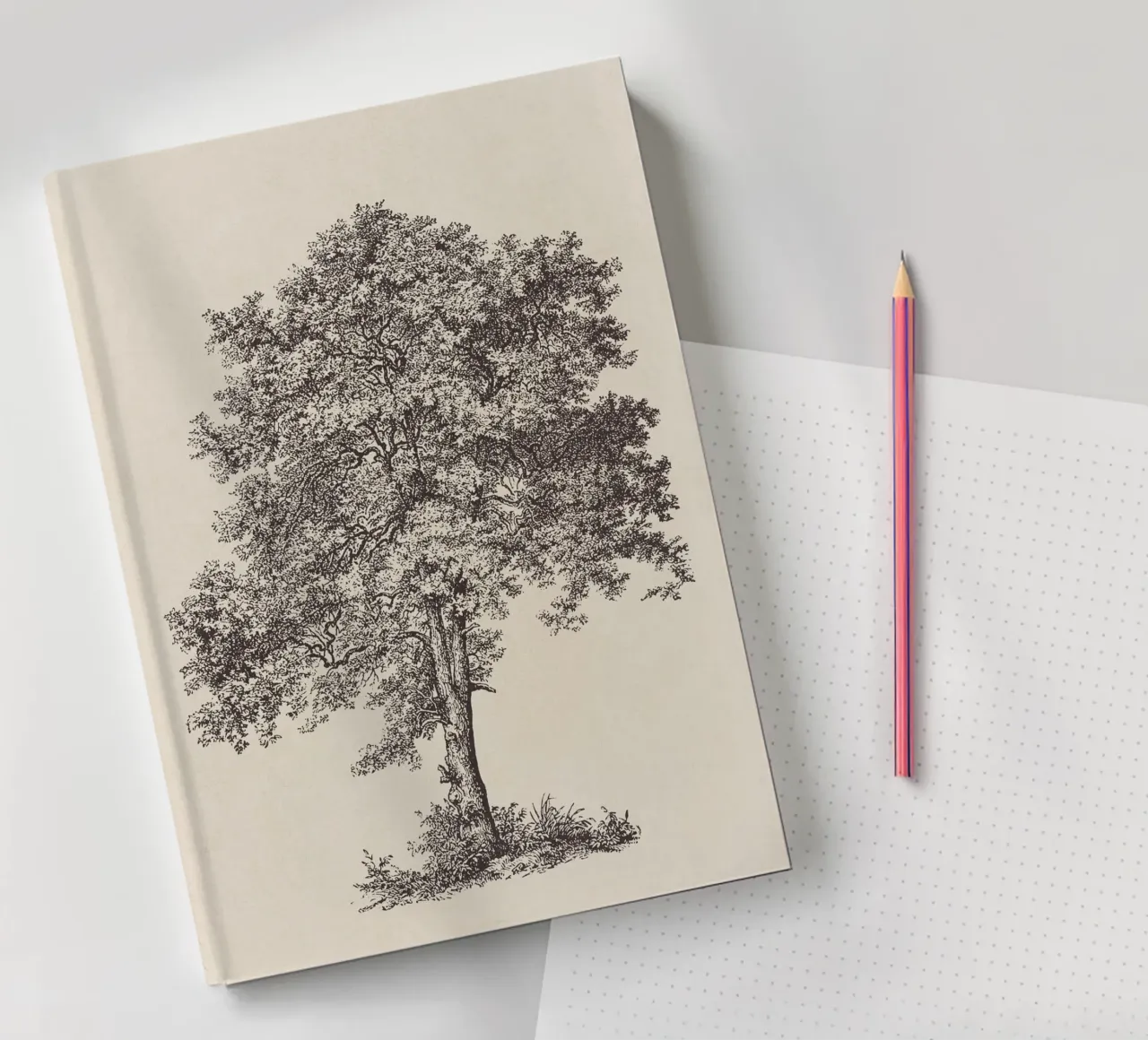 Tree Sketch - Sycamore Maple Notizbuch von apoloprints
