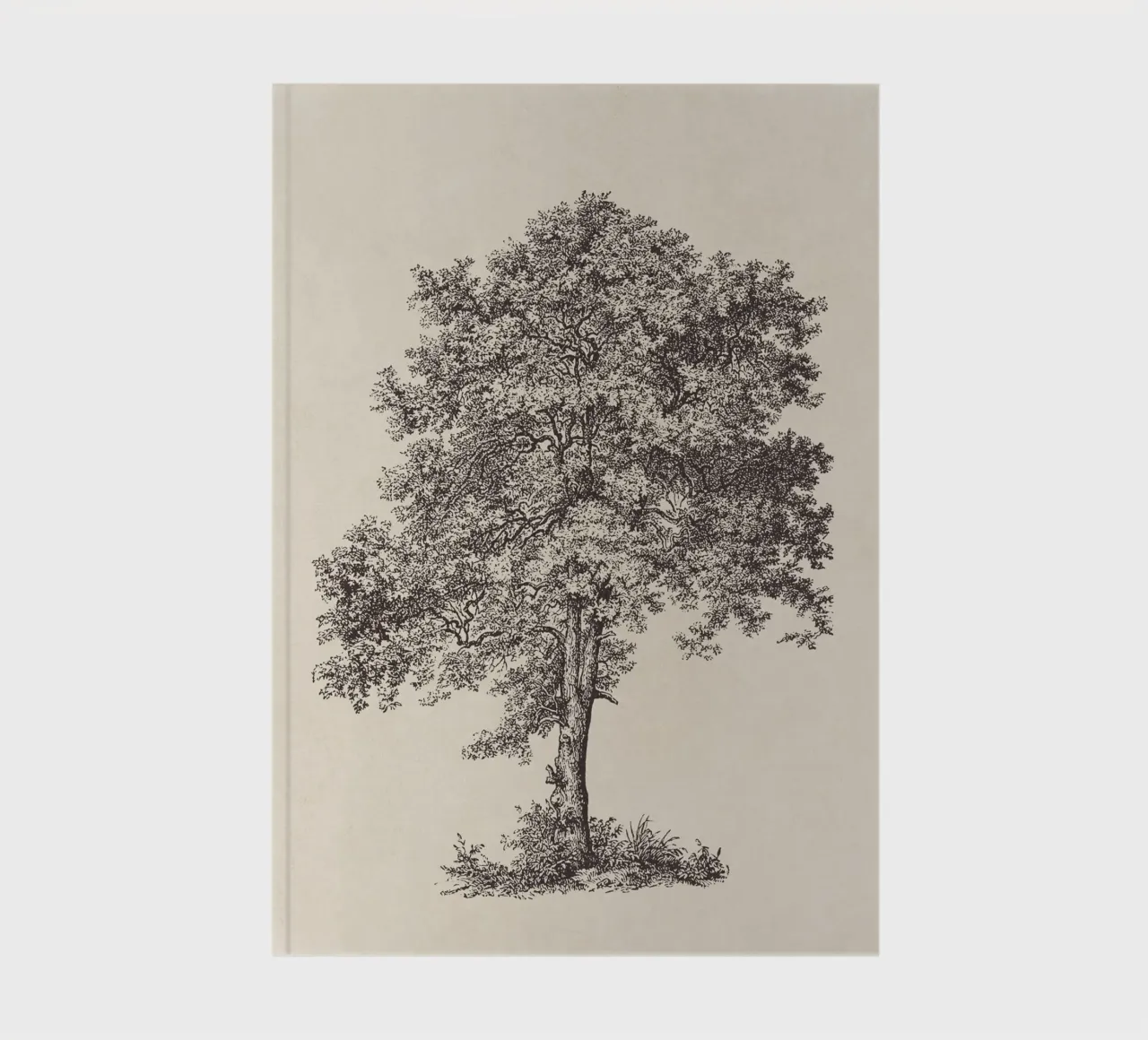 Tree Sketch - Sycamore Maple notebook by apoloprints