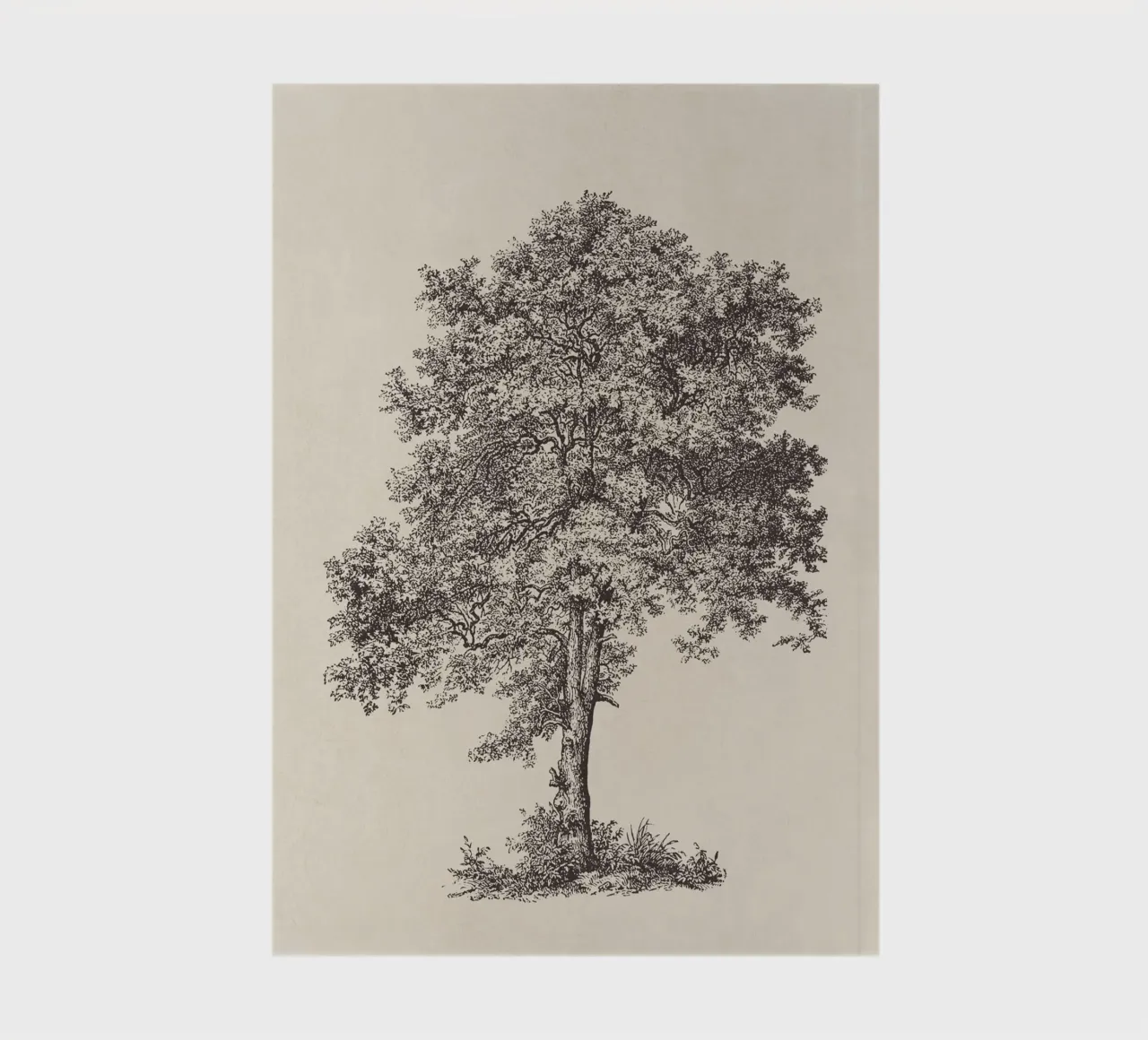 Tree Sketch - Sycamore Maple notebook by apoloprints