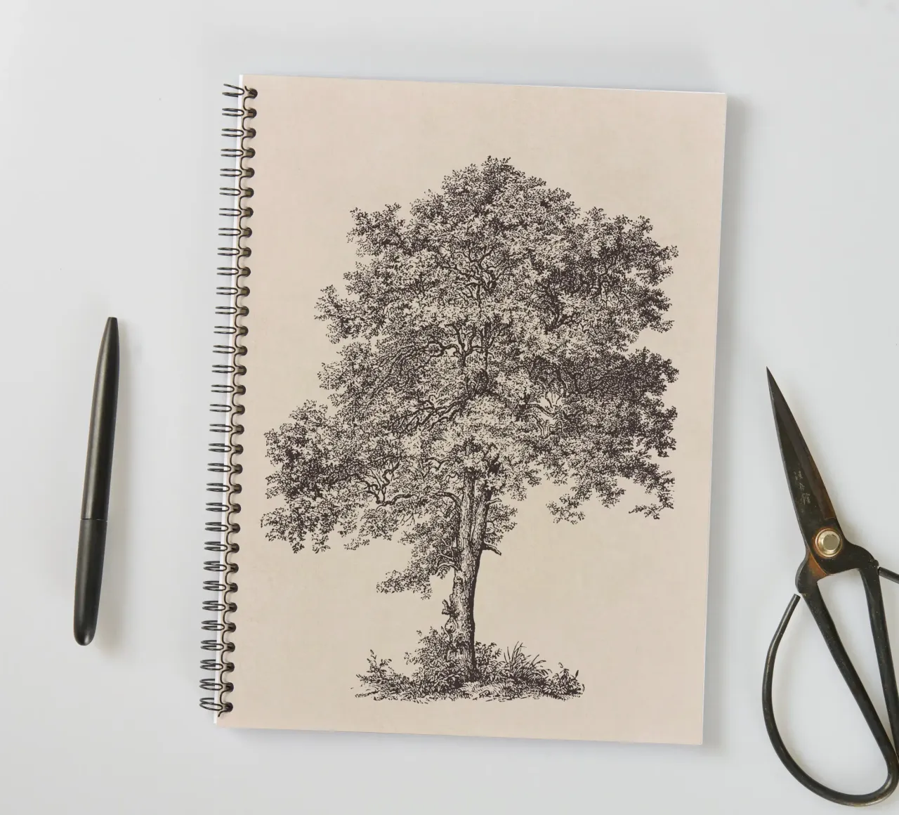 Tree Sketch - Sycamore Maple diario ad anelli da apoloprints