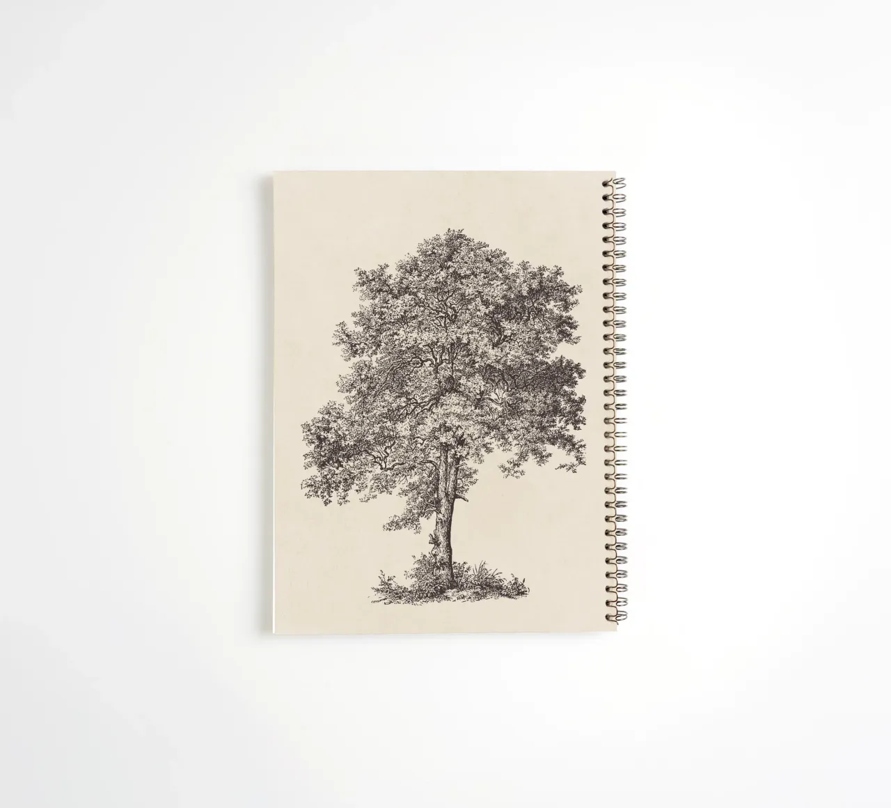 Tree Sketch - Sycamore Maple diario ad anelli da apoloprints