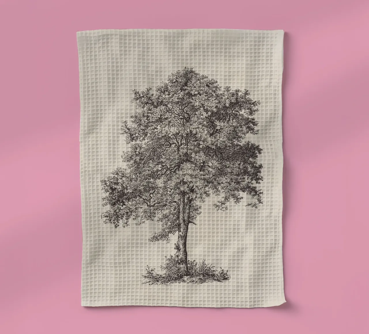 Tree Sketch - Sycamore Maple canovaccio da cucina da apoloprints