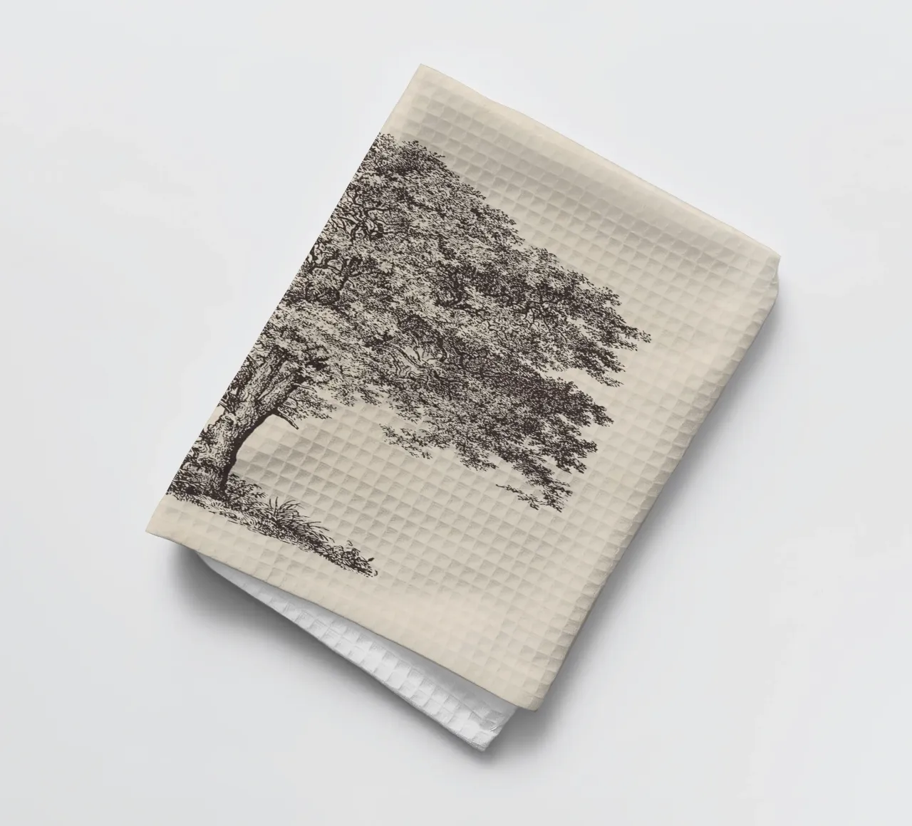 Tree Sketch - Sycamore Maple torchon de apoloprints
