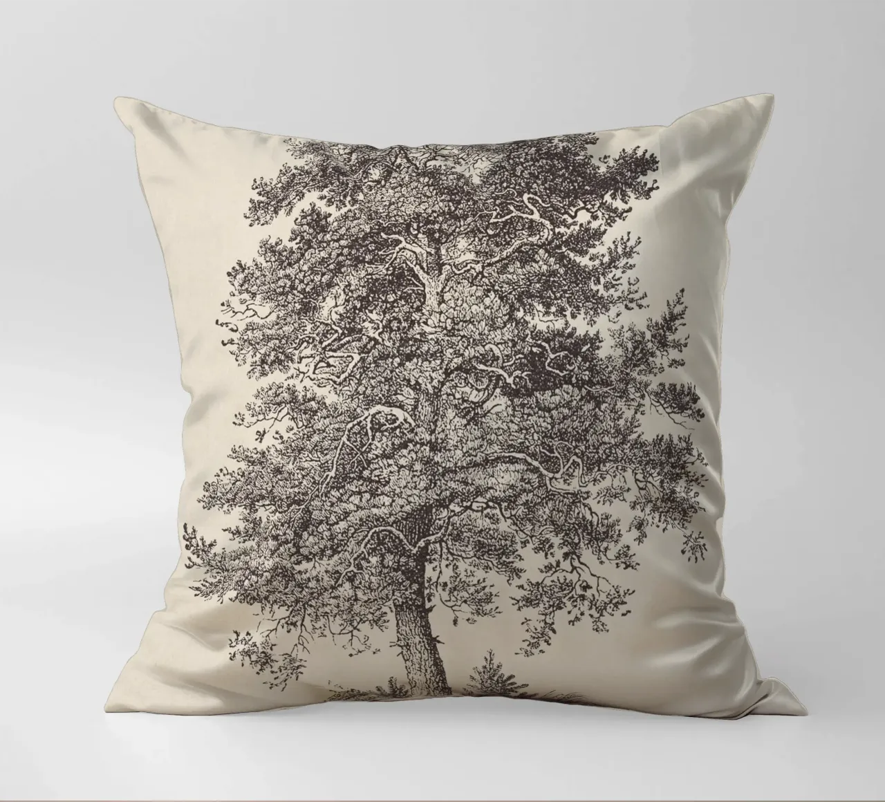 Tree Sketch - Scotch Pine cuscino da apoloprints