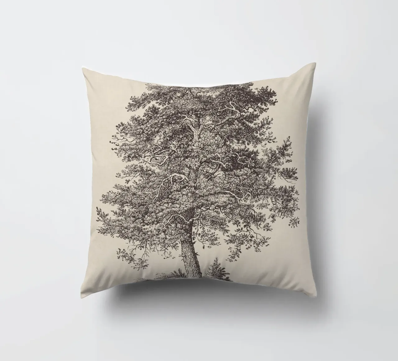 Tree Sketch - Scotch Pine cuscino da apoloprints